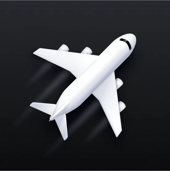 Flighty App Icon